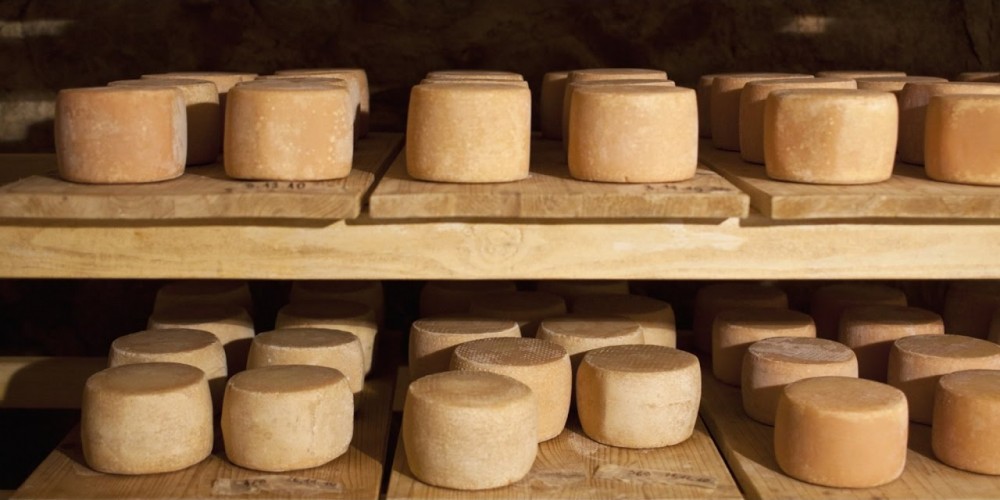 5 sự thật không phải ai cũng dám đọc về loại “phô mai giòi” nổi tiếng của nước Ý